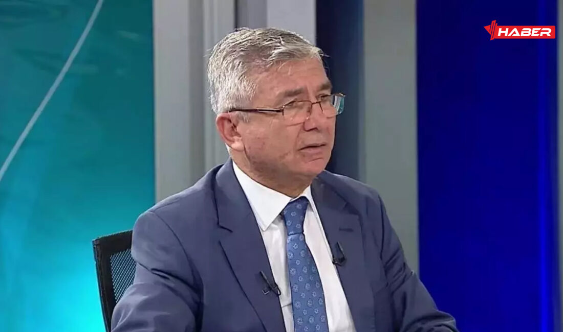 Mesut Hakkı Caşın, Türkiye'nin önde gelen uluslararası ilişkiler uzmanlarından biri