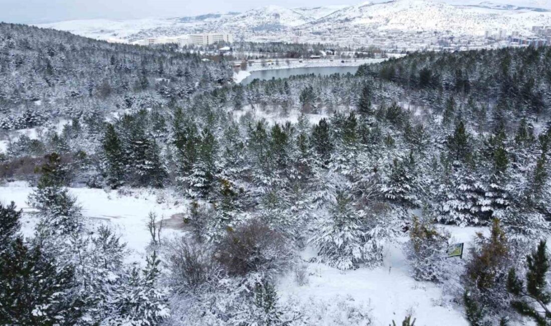 Yozgat Çamlığı'nda nisan ayında meydana gelen beklenmedik kar yağışı, beyaz