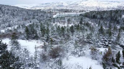 Yozgat Çamlığı'nda nisan ayında meydana gelen beklenmedik kar yağışı, beyaz