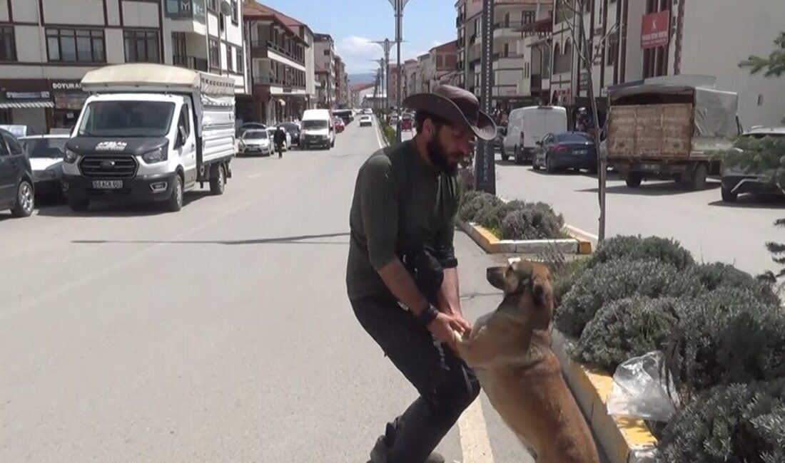 Ömer Özer, 'Yoldaş' adlı köpeğiyle Türkiye'yi dolaşıp her şehre bir