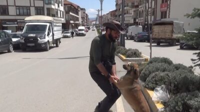 Ömer Özer, 'Yoldaş' adlı köpeğiyle Türkiye'yi dolaşıp her şehre bir