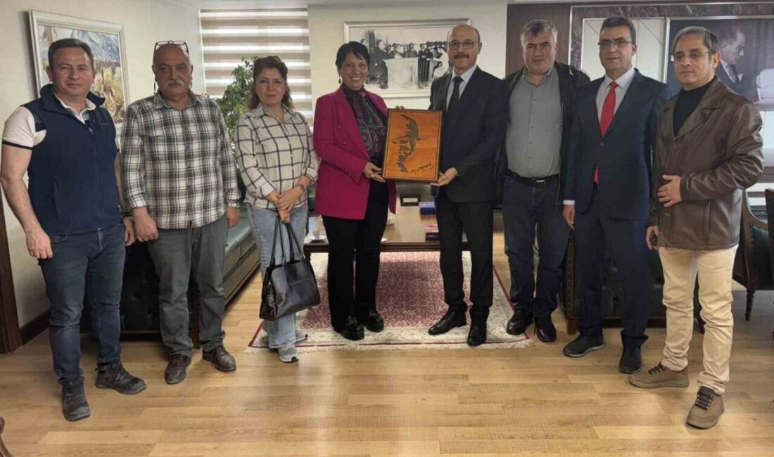 Türk Eğitim-Sen Genel Başkanı Talip Geylan, Ulus Mesleki ve Teknik