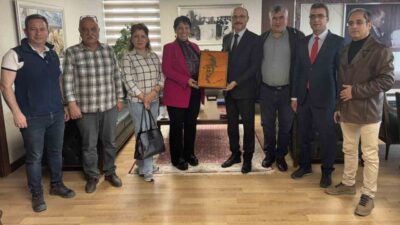 Türk Eğitim-Sen Genel Başkanı Talip Geylan, Ulus Mesleki ve Teknik
