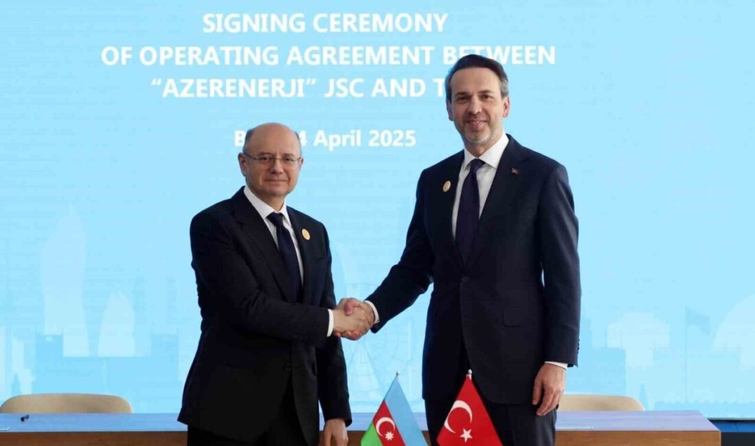 Türkiye Enerji ve Tabii Kaynaklar Bakanı Alparslan Bayraktar, Azerbaycanlı mevkidaşı