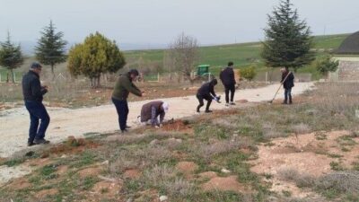 Çorum'un Alaca ilçesine bağlı Büyük Keşlik Köyü'nde düzenlenen etkinlikte, köy