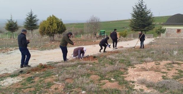 Vatandaşlar bir araya gelip köylerine fidan diktiler Çorum'un Alaca ilçesine bağlı