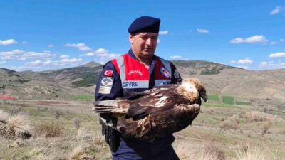 Yozgat’ta HAYDİ ekipleri ve Sorgun İlçe Jandarma Komutanlığı, yaralı bir