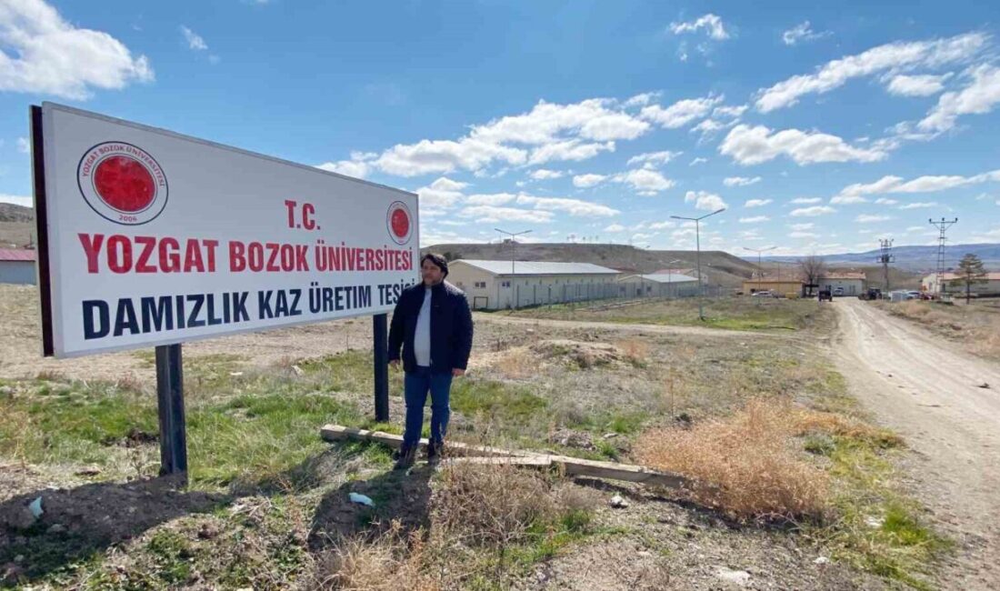 Yozgat Bozok Üniversitesi, tarım ve hayvancılık alanındaki çalışmalarıyla sektöre katkı