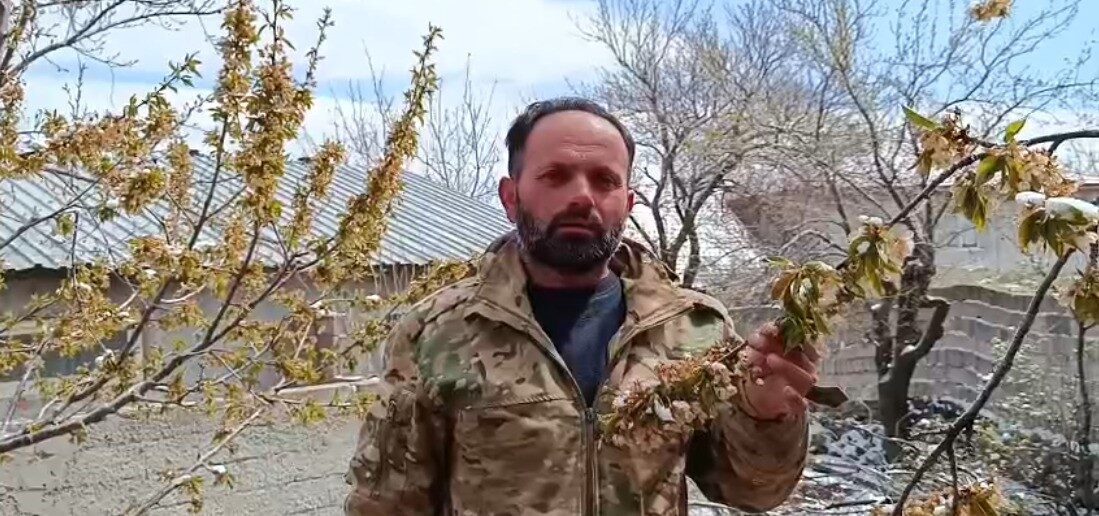 Yozgat'ta uzun süren kar yağışı ve soğuk hava nedeniyle zirai