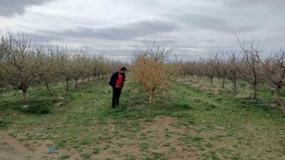 Yozgat'ta yaşanan zirai don felaketi sonrası İl Tarım ve Orman