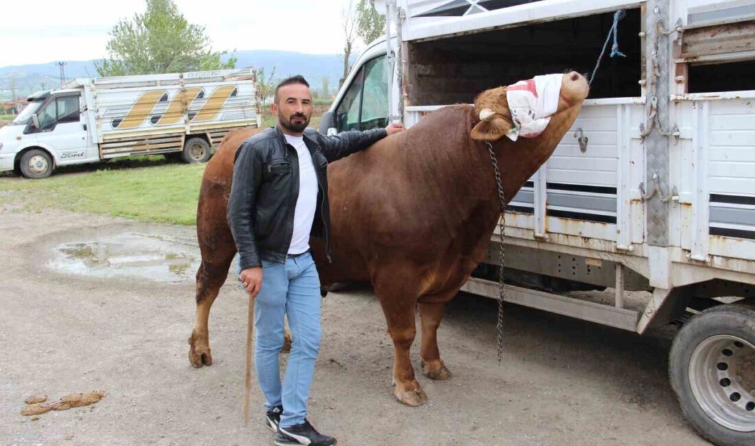Çorum’da besicilik yapan İbrahim