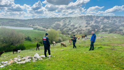 Saraykent ilçesine bağlı Abdurrahmanlı Köyü’nde hayvancılıkla uğraşan bir vatandaşın kaybolan