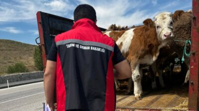 Yerköy İlçe Tarım ve Orman Müdürlüğü, yaklaşan Kurban Bayramı öncesinde