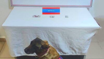 Yozgat İl Jandarma Komutanlığı, KOM Şube Müdürlüğü ve Jandarmanın Dedektifleri