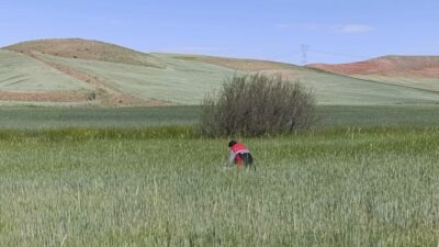 Yerköy İlçe Tarım ve Orman Müdürlüğü, 5996 sayılı Veteriner Hizmetleri,