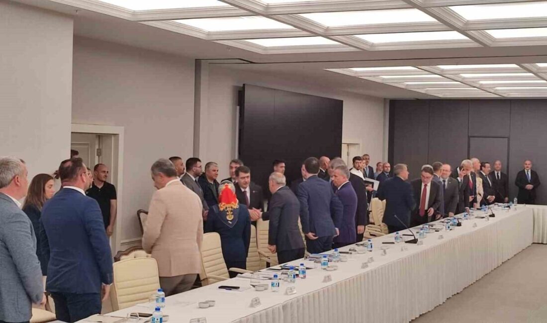 Ankara Valisi Vasip Şahin, İl Hayvan Hakları Komisyonu toplantısında sokak