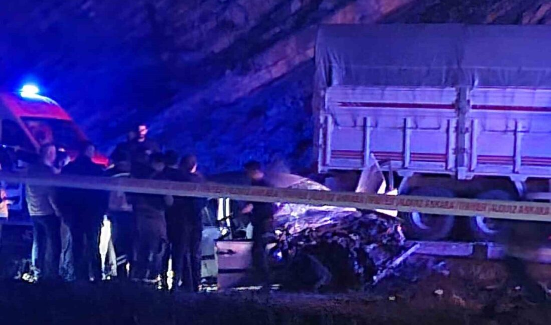 Ankara'nın Nallıhan ilçesinde otomobil ile kamyonun kafa kafaya çarpışması sonucu