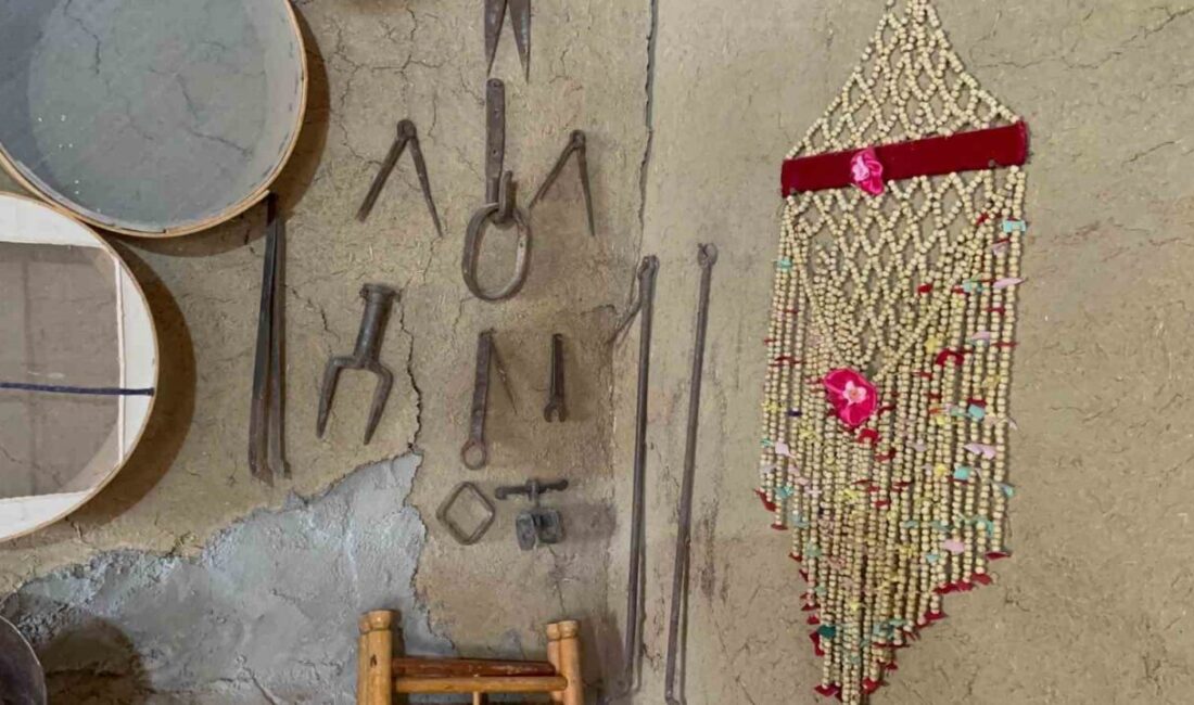 Çiçekdağı'nda yaşayan Hasan Tekin, dedesinden ve babasından miras kalan tarım