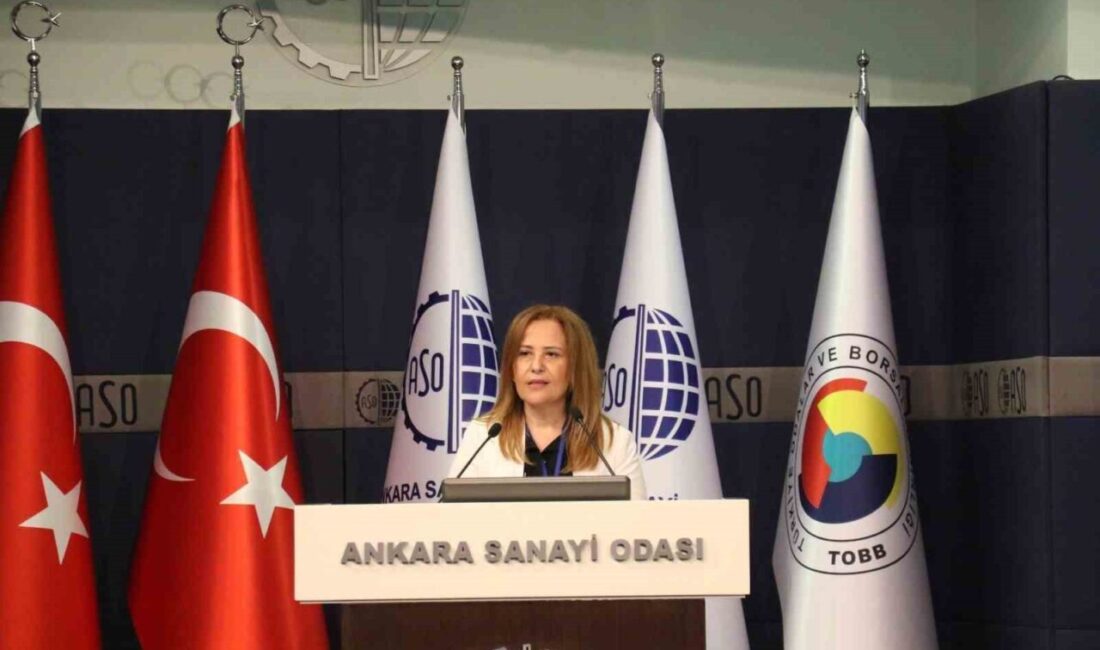 ASO Meclis Üyesi Nuray