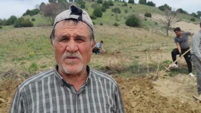 Yozgat'ta baharla birlikte bağcılık faaliyetleri hız kazandı. Çekerek ilçesinde üzüm