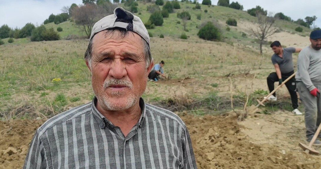 Yozgat'ta baharla birlikte bağcılık faaliyetleri hız kazandı. Çekerek ilçesinde üzüm