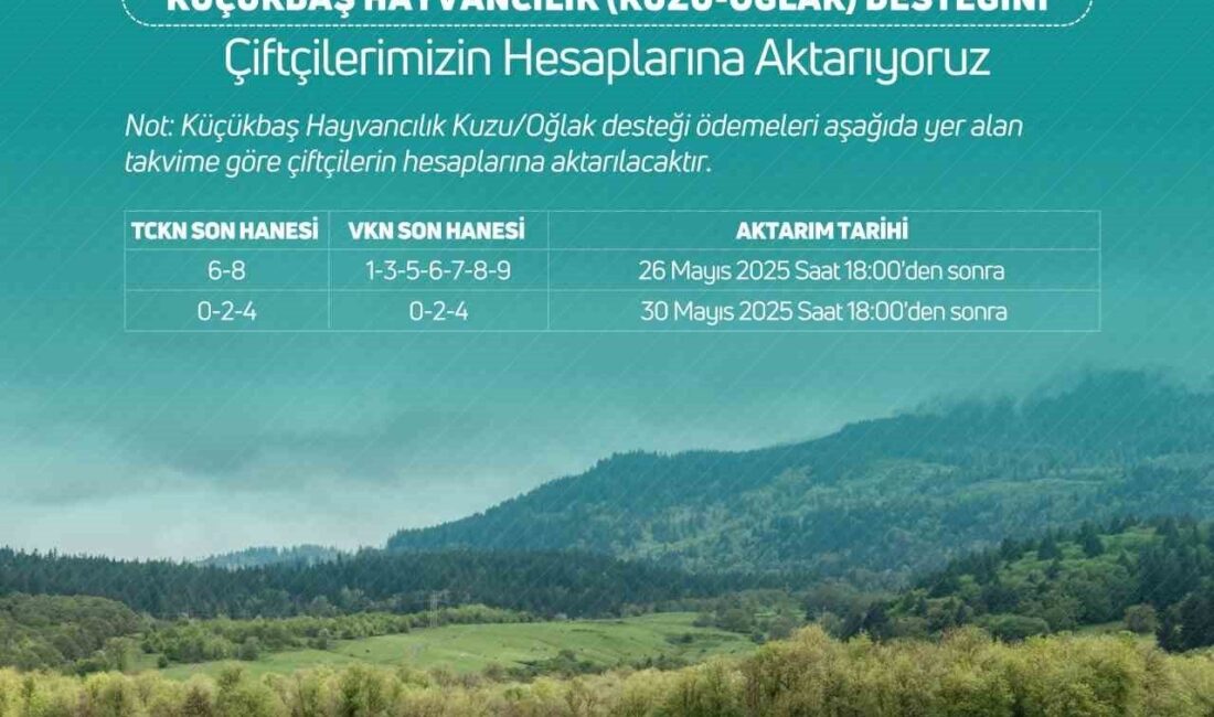 Tarım ve Orman Bakanı İbrahim Yumaklı, 3 milyar 888 milyon