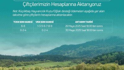 Tarım ve Orman Bakanı İbrahim Yumaklı, 3 milyar 888 milyon