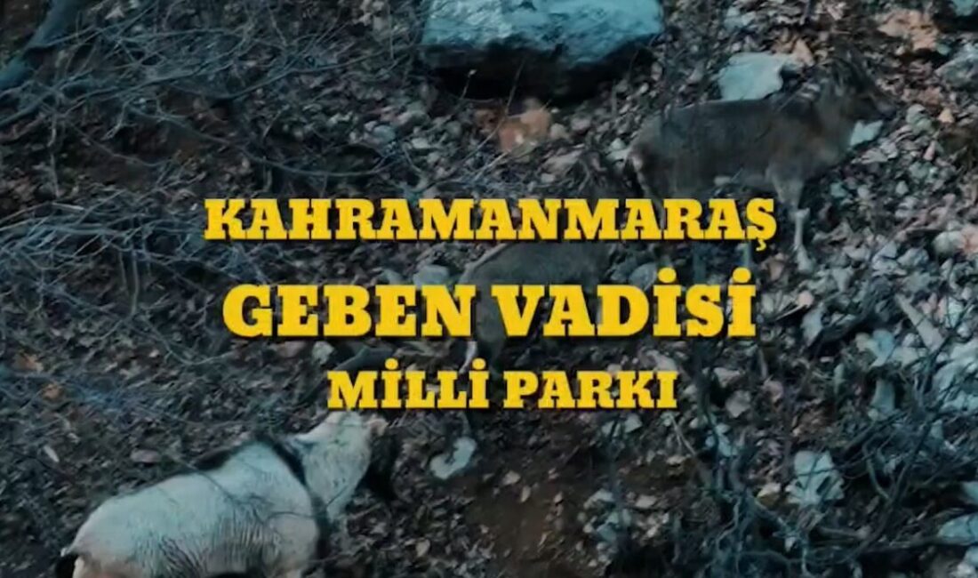 Bakan Yumaklı: “Kahramanmaraş Geben Vadisi, milli park statüsüne kavuştu” Tarım ve Orman Bakanı