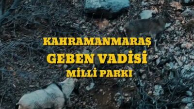 Tarım ve Orman Bakanı İbrahim Yumaklı, Cumhurbaşkanı Erdoğan'ın imzasıyla Kahramanmaraş