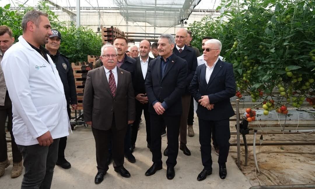 Yozgat’ın Sorgun ilçesinde jeotermal su ile ısıtılan seralarda yılda 9