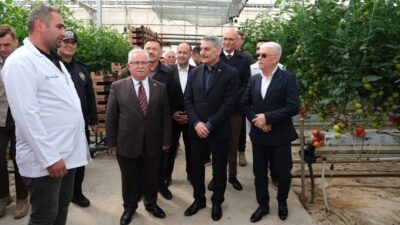 Yozgat’ın Sorgun ilçesinde jeotermal su ile ısıtılan seralarda yılda 9