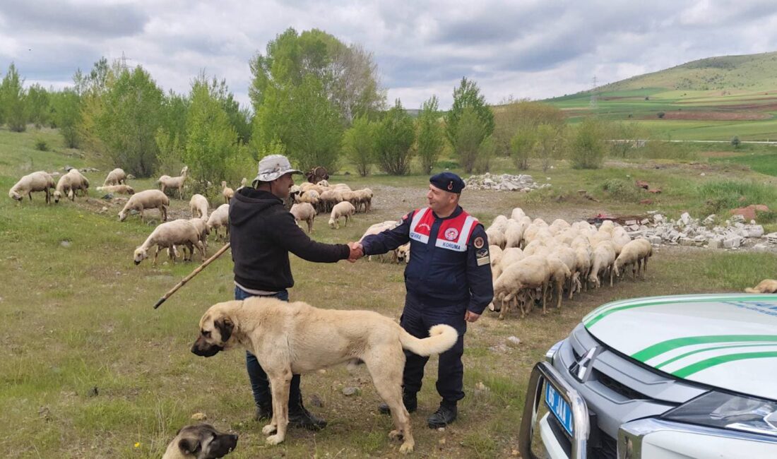 14 Mayıs Dünya Çiftçiler