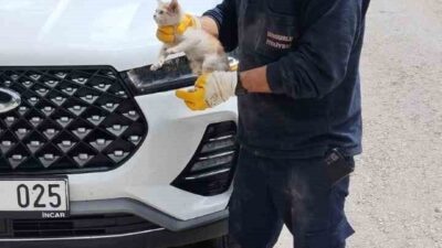 Çorum Sungurlu'da bir cipin motor kısmına sıkışan yavru kedi, itfaiye