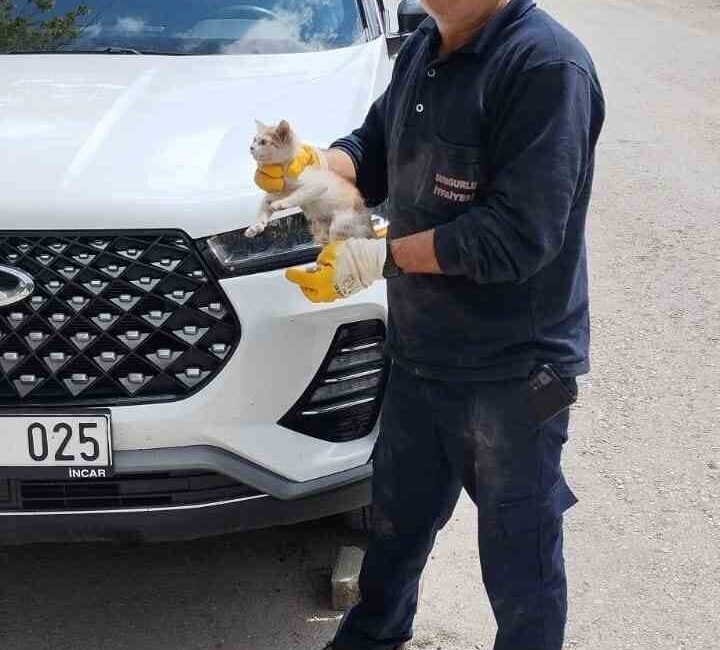 Çorum Sungurlu'da bir cipin motor kısmına sıkışan yavru kedi, itfaiye