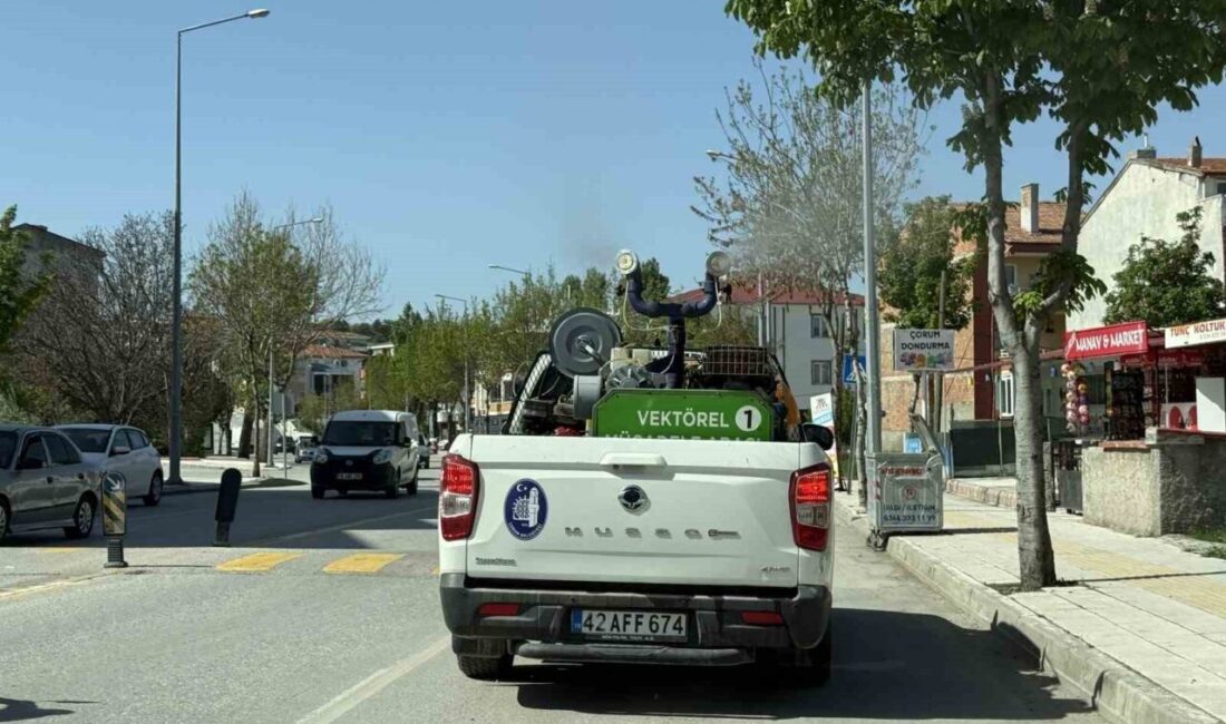 Çorum Belediyesi ekipleri vektörel mücadele için gece-gündüz sahada Çorum Belediyesi, Temizlik İşleri