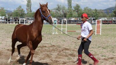 Çorum'da düzenlenen Uluslararası Atçılık Festivali renkli görüntülere sahne oldu. Kurt