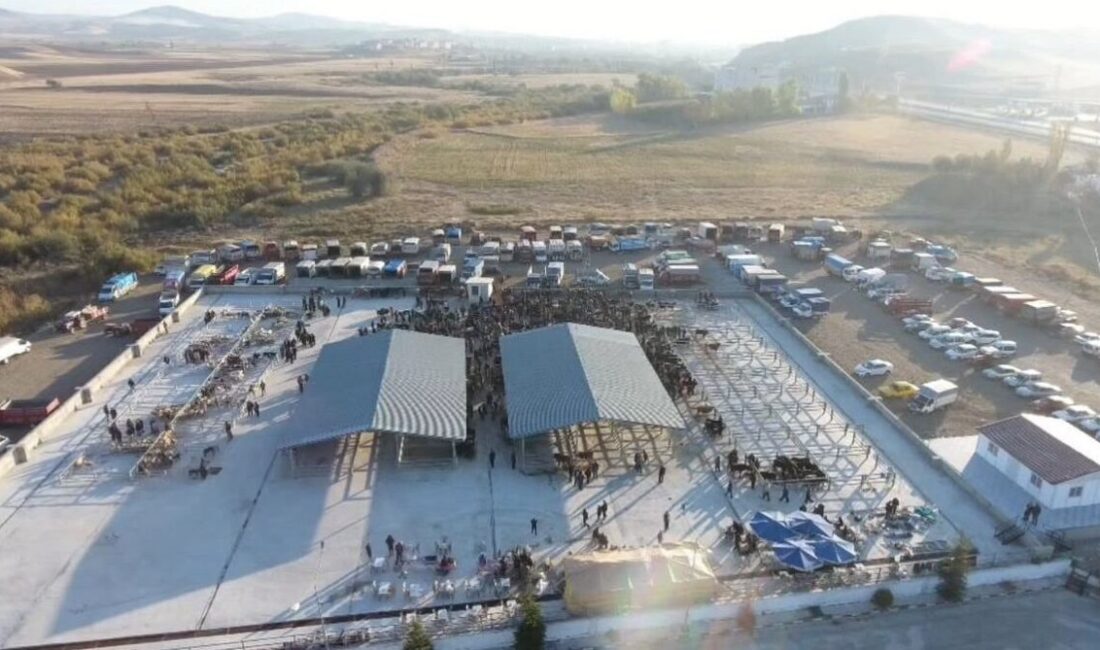 Çorum’da şap hastalığı tespit edilen köy karantinaya alındı, hayvan pazarı kapatıldı Çorum'un Sungurlu ilçesinde şap