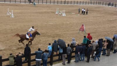 Çorum Belediyesi ve Çorum Anatolia Atlı Spor Kulübü, Uluslararası Anadolu