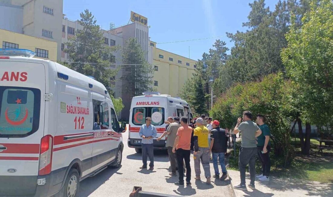 Çorum’da un fabrikasında patlama: 7 yaralı Çorum'daki Hatap Un Fabrikasında