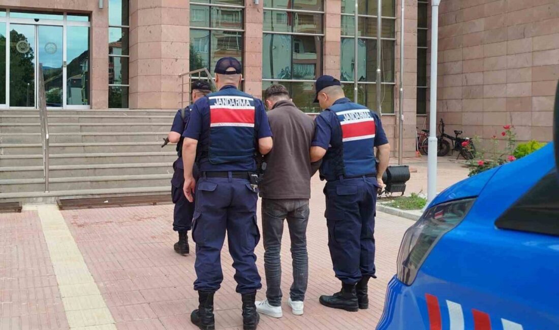 Çorum'un Osmancık ilçesinde jandarma operasyonunda 2 uyuşturucu satıcısı yakalandı. Tutuklanan