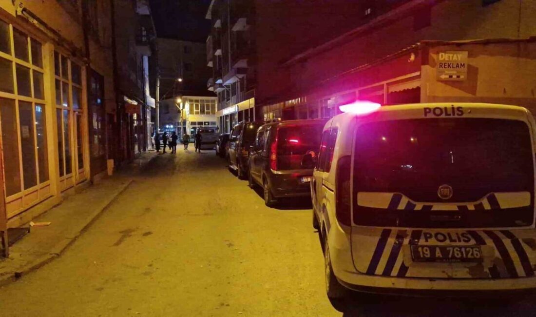 Çorum'un Alaca ilçesinde yalnız yaşayan 80 yaşındaki Makbule Susam, uzun