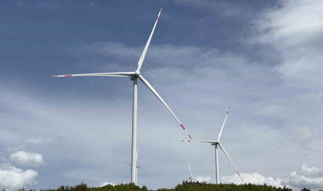Geyve, Sakarya'da açılan Rüzgar Enerji Santrali, Cumhurbaşkanı Erdoğan'ın video konferansla