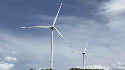 Geyve, Sakarya'da açılan Rüzgar Enerji Santrali, Cumhurbaşkanı Erdoğan'ın video konferansla