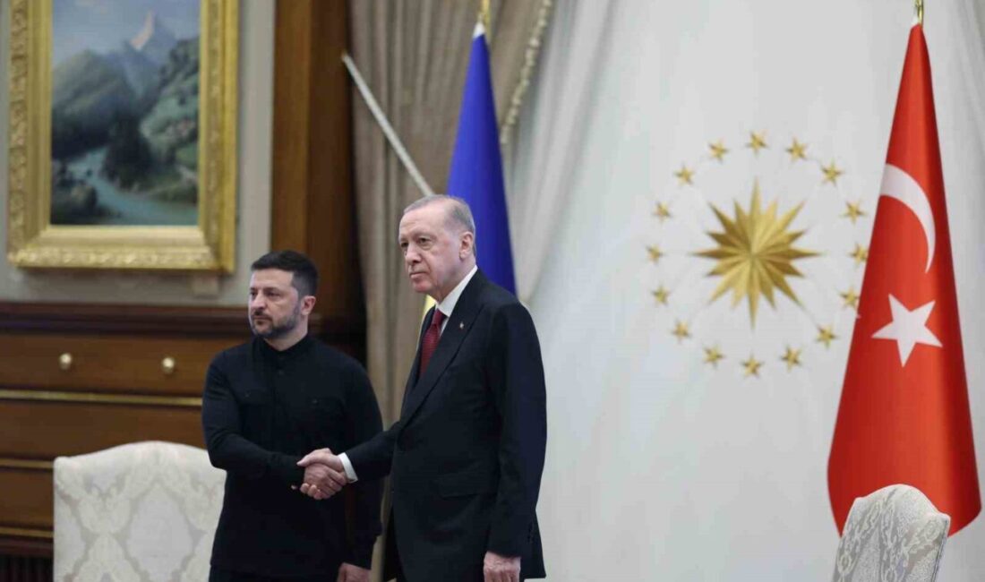 Cumhurbaşkanı Recep Tayyip Erdoğan, Ukrayna Devlet Başkanı Volodimir Zelenskiy ile