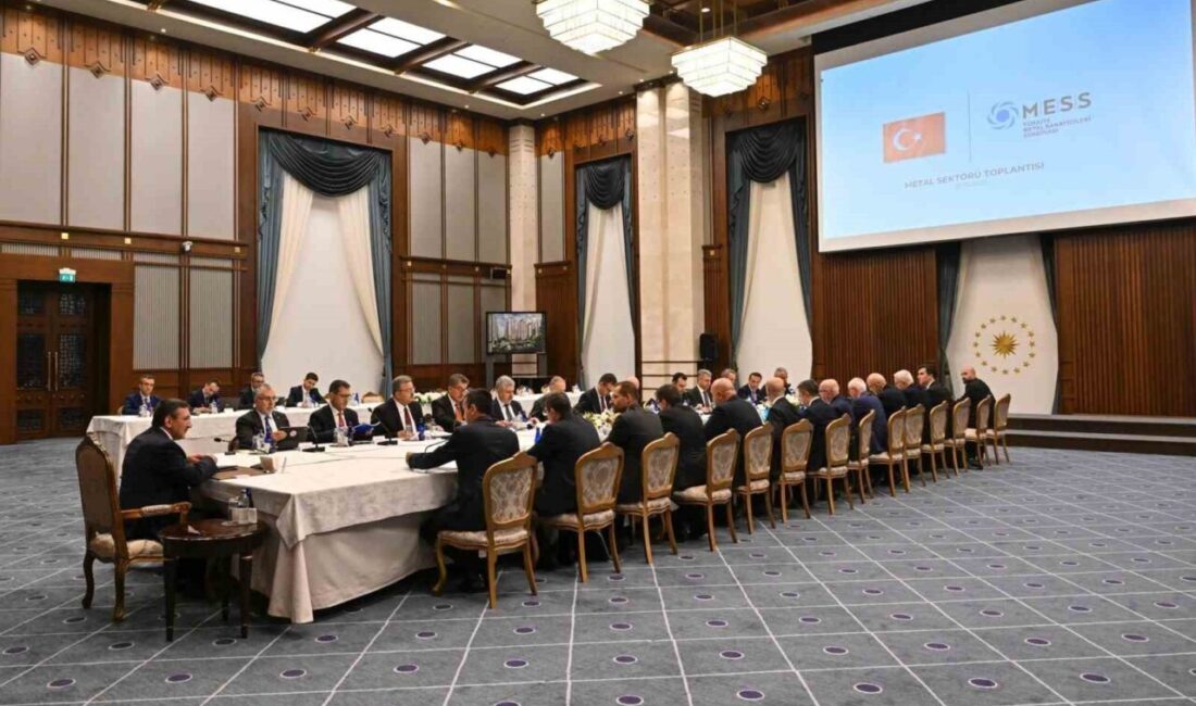 Cumhurbaşkanı Yardımcısı Cevdet Yılmaz, Çalışma ve Sosyal Güvenlik Bakanı Vedat