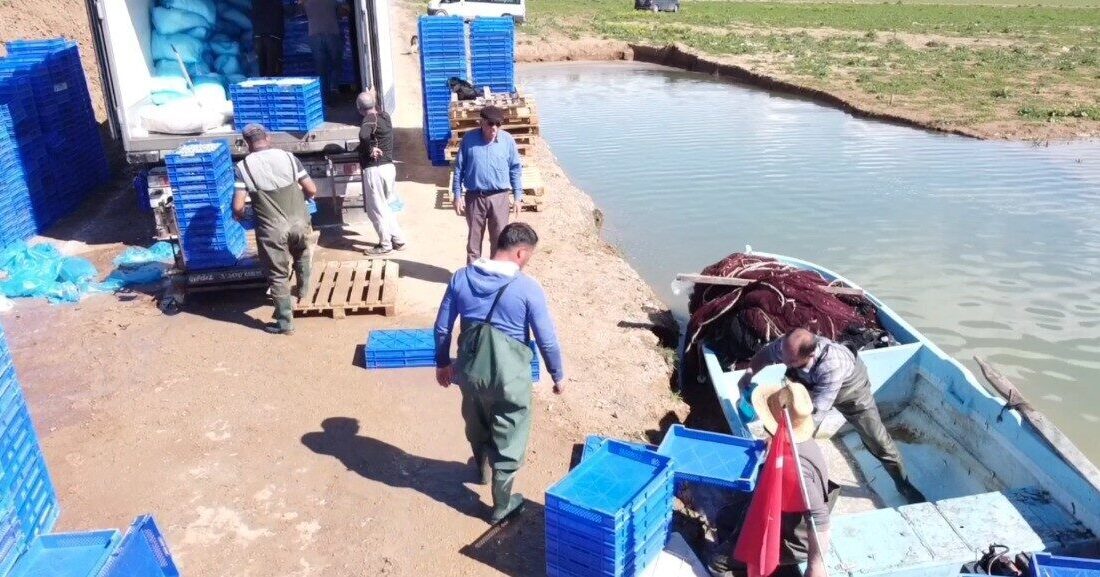 Yozgat'ın Çekerek ilçesinde avlanan gümüş balıkları, işlenerek Avrupa ülkelerine cips
