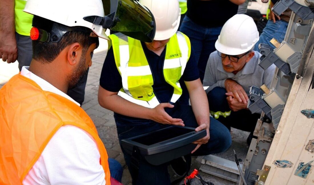 Dicle Elektrik, enerji dağıtımında