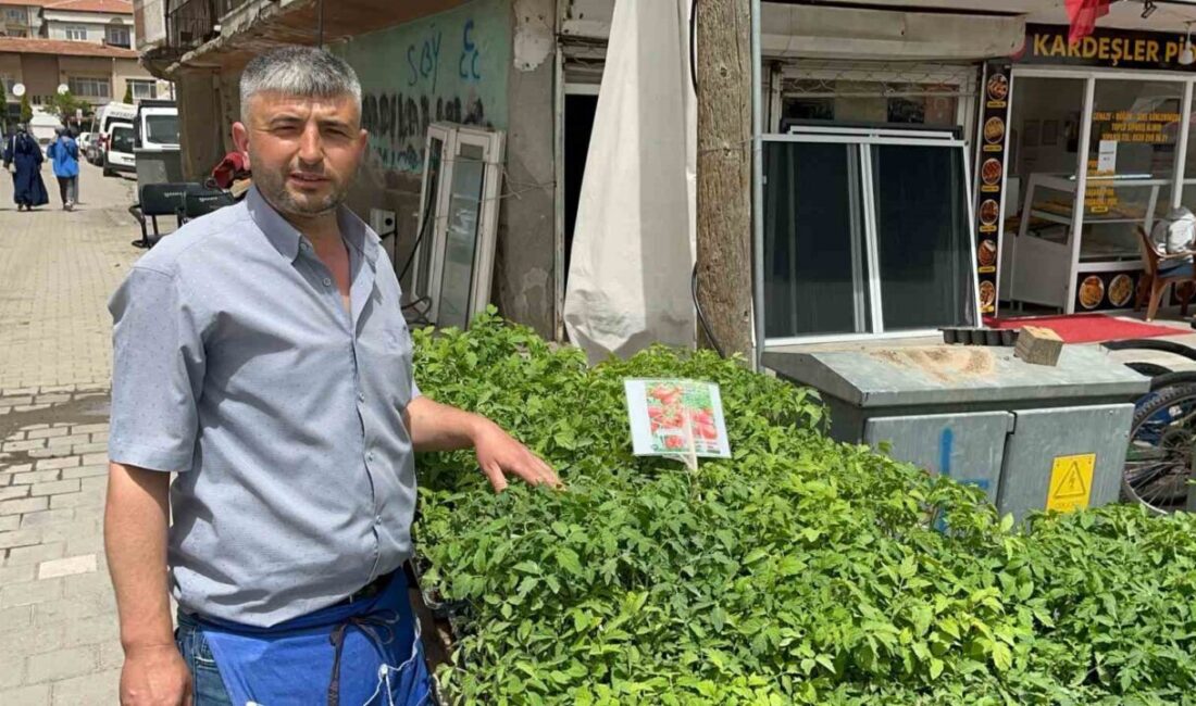 Fideleri bahçesine ekenler kendi yetiştirip kendi yiyor Yozgat'ta baharın gelmesiyle birlikte