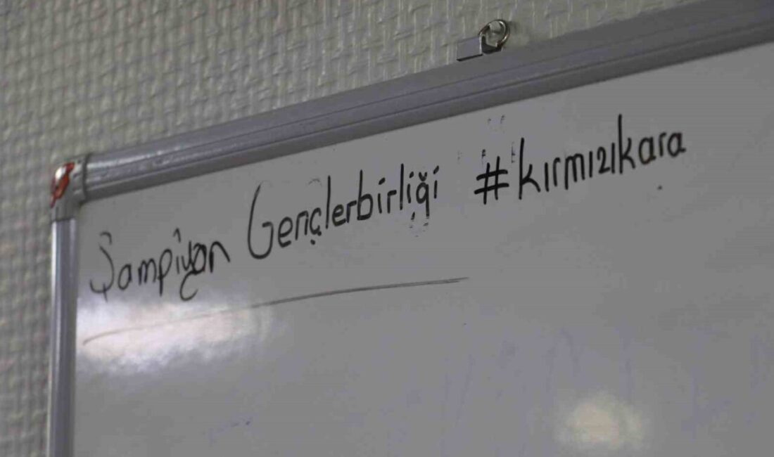 Gençlerbirliği Sportif Direktörü Ali Ekber Düzgün, transferlerde doğru karakterlerin önemli