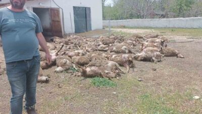 Haymana ilçesindeki Dereköy Mahallesi'nde İshak Yavuz'a ait çiftlikte gece saatlerinde